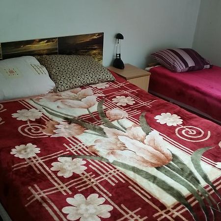 Sosnowy Dworek Apartment Józefów Екстериор снимка