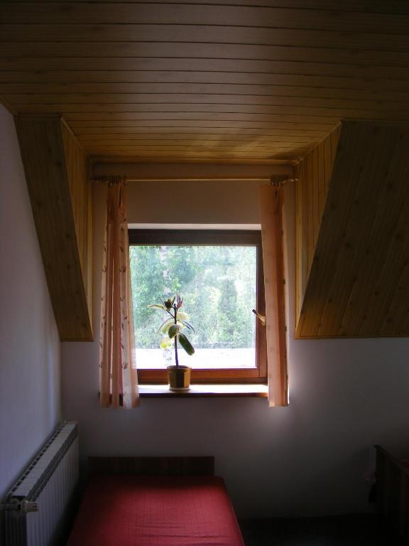 Sosnowy Dworek Apartment Józefów Екстериор снимка