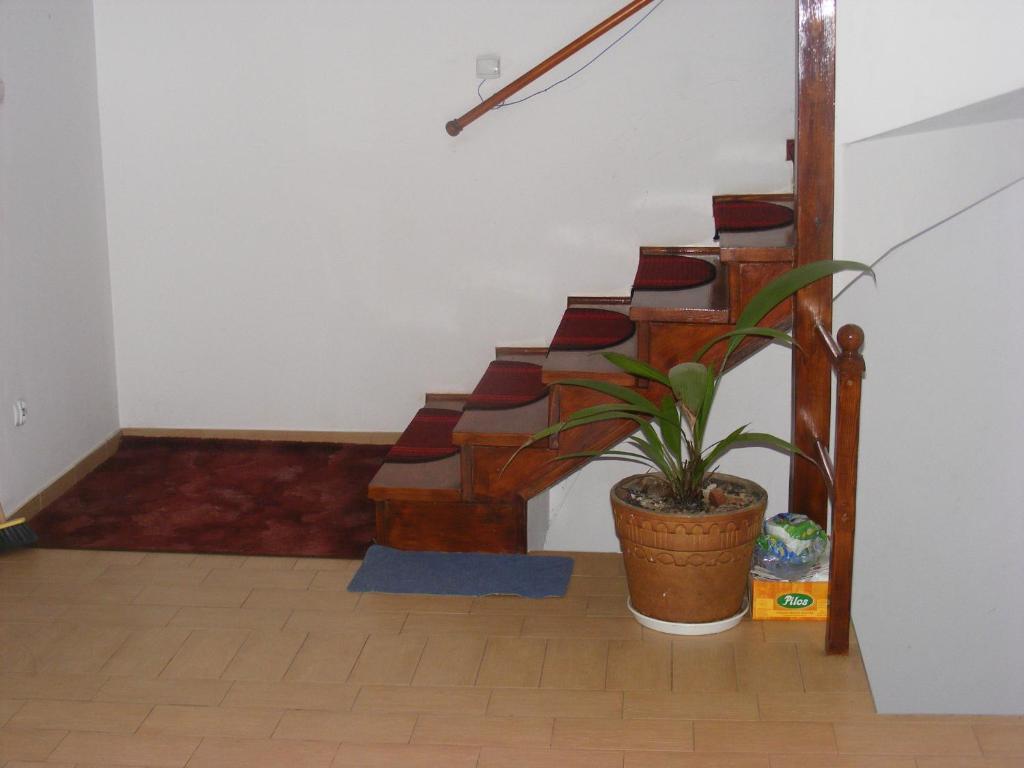 Sosnowy Dworek Apartment Józefów Екстериор снимка